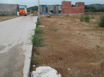 Bán Đất Khu Dân Cư Gần Ngã Tư Tân Cang Đường Tránh Võ Nguyên Giáp