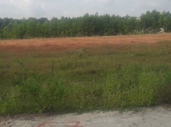 Thu Hồi Nợ Xấu Ngân Hàng Vib Mở  Bán Đất Nền Thổ Cư 100%, Shr, Hỗ Trợ Vay 70%. Lh: 09092.519.299