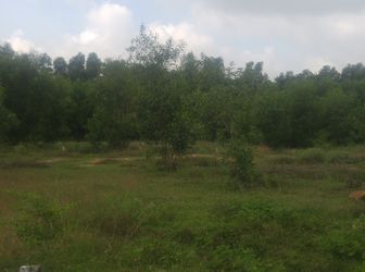 Thu Hồi Nợ Xấu Ngân Hàng Vib Mở  Bán Đất Nền Thổ Cư 100%, Shr, Hỗ Trợ Vay 70%. Lh: 09092.519.299