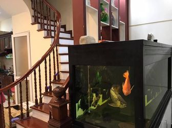 Vỡ Nợ, Cần Bán (Rất Gấp) Nhà Nguyễn Trãi, Thanh Xuân, Nhà 5 Tầng Cực Kỳ Đẹp, Chỉ 2.4 Tỷ