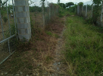 Cần Bán Đất Tại Xã Tân Bình, Vĩnh Cửu, Đồng Nai