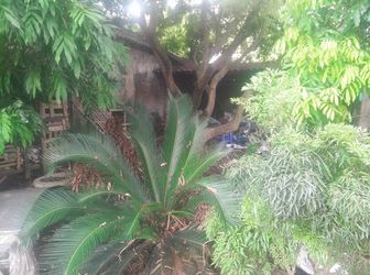 Cần Bán 2 Lô Đất Vỏ Làng Cực Đẹp Tại Mai Lâm, Đông Anh, Gần Chung Cư Eurowindow River Park