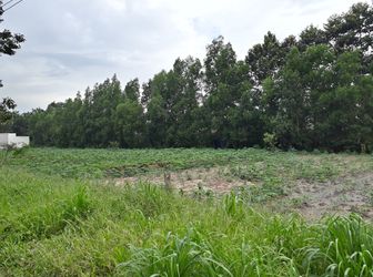 7 Lô Đất Mặt Tiền Đường Trảng Bom An Viễn.171m2.