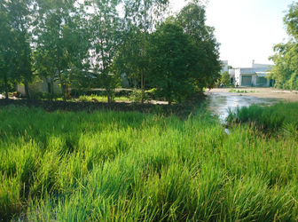 Thiếu Hụt Tiền Làm Ăn Sang Gấp 1115m2 Đất Xây Trọ, Ngay Cụm KCN Qui Đức – Bình Chánh