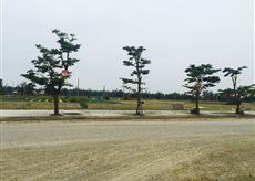 Bán Nhanh Lô Góc 2 Mặt Tiền Đường 27m Và 17.5m Dự Án Sakuar Central Park