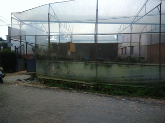 Bán Đất Xây Dựng 400m2 Đường Nguyên Tử Lực  - P8 - Tp Đà Lạt