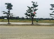 Đất Nền Giá Rẻ Cạnh Tổ Hợp Giải Trí Coco Bay Đà Nẵng