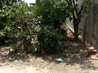 Cần Bán Gấp Đất Gần Cổng 11, Giá Tốt