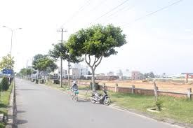 Thổ Cư 100%: Lô 100m2 2 Mặt Tiền Đường Võ Chí Công, Sổ Riêng, Quận 2 Sổ Hồng Riêng, Bao Sang Tên