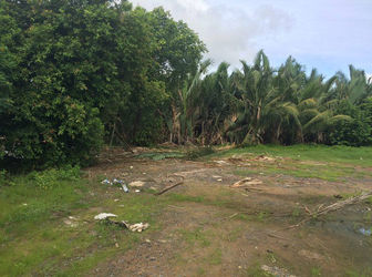 1300m2 Đất mặt tiền Nguyễn Văn Tạo Nhà Bè Giá 6.5tr/m2