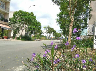 Đất Nền Đầu Tư Sinh Lời Ngay.  Sổ Riêng Từng Nền.  Mặt Tiền Đường 29m.  Hạ Tầng Hoàn Thiện.