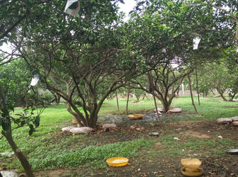 Cần Bán Đất Tại Xã Tân Bình, Vĩnh Cửu, Đồng Nai