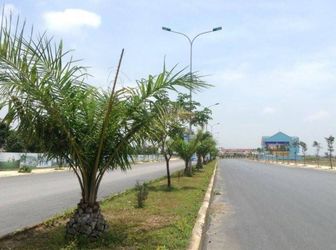 Cần Bán Đất Chính Chủ Tại TP, Dt 100m2, Sổ Đỏ Riêng