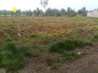 Cơ Hội Cho Các Nhà Đầu Tư - Đất Nền Long An