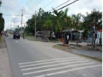 Đất Mặt Tiền Nguyễn Văn Tạo,Dt1500m2(Vườn) Sổ Hồng,Nhà Bè