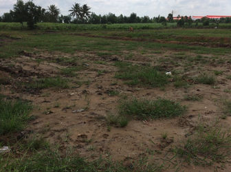 Chỉ Cần 469 Triệu Sở Hữu Ngay Một Lô Đất Xây Nhà Trọ Ngay KCN Lớn Nhất Long An