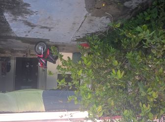 Bán Nhà Cấp 4. Đường Phó Cơ Điều. Phường 3. Vĩnh Long