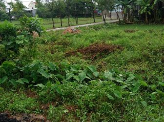 Bán Đất Cách Bến Xe Phía Nam 250m, Giá 365/68,3m2