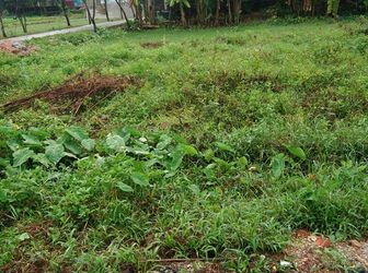 Bán Đất Cách Bến Xe Phía Nam 250m, Giá 365/68,3m2