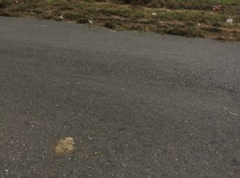 Đất Ở Đô ThỊ Sổ Đỏ Trung Tâm Thị Trấn 80m2 CSHT Hoàn Thiện 100% Bà RỊa Vũng Tàu LH_0908040794