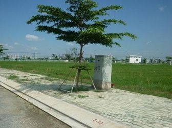 Bán Gấp Khu ĐT Mới 420 Nền 100m2 Chiết Khấu 5%