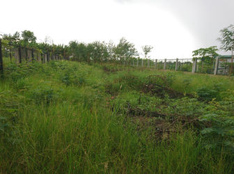 Phân Chia Tài Sản Bán Gấp 98m2 390tr Đường 4m - Đa Phước – Bình Chánh