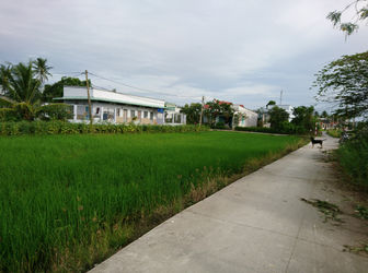 Phân Chia Tài Sản Bán Gấp 98m2 390tr Đường 4m - Đa Phước – Bình Chánh