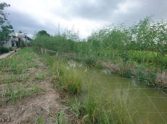 2.6tr/M2, 1233m2 Đất  Bình Chánh Đường Tập Đoàn 16, Đa Phước, Bình Chánh