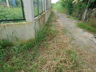 Cần Bán Gấp Đất  Bình Chánh 1000m2, 1.35tr/M2, Đường Liên Ấp 4-5, Đa Phước, Bình Chánh