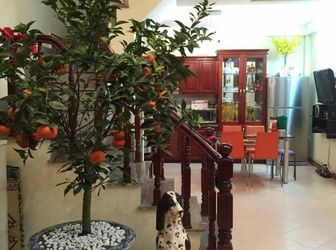 Gấp Gấp… Vỡ Nợ Bán Nhanh Nhà Bùi Xương Trạch 45M2 x 4 tầng - Giá 3,2 Tỷ.