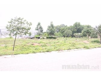 Ngân Hàng Vib Thanh Lý Đất Đô Thị Mới Bình Dương, Giá 189 Tr/Nền, Số Lượng Có Hạn. Lh: 0903931561