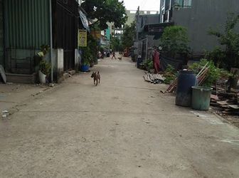 Cần Bán Lô Đất 100m2, Huyện Bình Chánh, 350 Triệu.