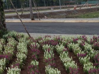 Đất Nền Dự Án Đường Huỳnh Tấn Phát,nhà Bè, 81M2 Giá 1.6 Tỷ, Sổ Hồng Riêng,xây Tự Do. 091-585-11-25