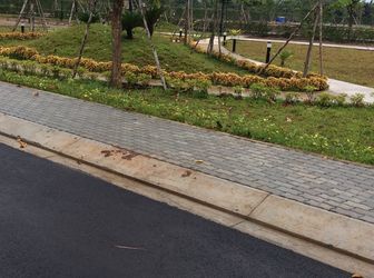 Đất Nền Dự Án Đường Huỳnh Tấn Phát,nhà Bè, 81M2 Giá 1.6 Tỷ, Sổ Hồng Riêng,xây Tự Do. 091-585-11-25