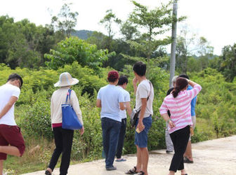 Trở Thành Ông Chủ Lớn Từ Lô Đất Vàng Nghĩ Dưỡng Phú Quốc Chỉ 520 Triệu/Nền,SHR, Ngay Dương Đông