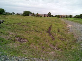 Cần Bán Gấp Đất Thổ Cư 5x24m, Khu Vực 4, Thị Trấn Đức Hoà.