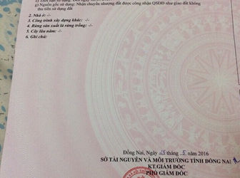 Bán Đất Đầu Tư - Giá Hợp Lý - Vị Trí Đẹp - Tam Phước - Biên Hòa