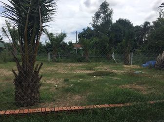 Đất Nguyễn Văn Ni, Củ Chi, Shr, Xdtd