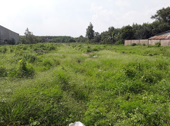 Bán Gấp 1 Mẫu Đất Đối Diện UBND Xã An Viễn, Giá 1,2 Triệu/M2