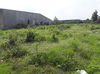 Bán Gấp 1 Mẫu Đất Đối Diện UBND Xã An Viễn, Giá 1,2 Triệu/M2