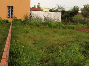 370 Triệu/Đất Phú Đông 5X13.2,Shr, Đường 5M Xe Hơi Vào Tới,