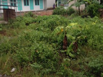 460tr/4x15 Thổ Cư 100%,Nhơn Trạch,(Đại Phước- Cách Phà 2km,) Sổ riêng, Lý Thái Tổ vào thẳng 50m, Cá