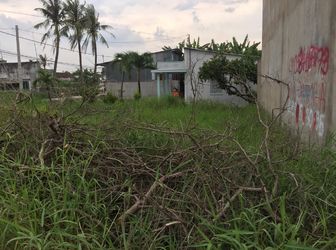 Cần Sang Gấp 422 M2 Mặt Tiền Đường Ô Tô, Xã Qui Đức, Bình Chánh.