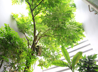 Đất Chính Chủ Shr 100m2 Ngay Mặt Tiền Chợ Bà Điểm-Tân Thới Nhì-Hóc Môn