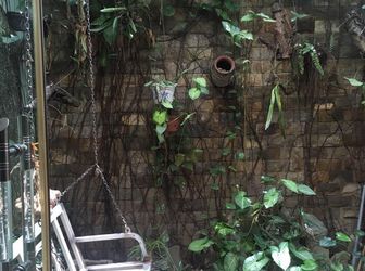 Bán Nhà Phố Quan Nhân, Thanh Xuân. Dt 55.4m2 X 5t Nhà Dân Xây Kiên Cố, Thiết Kế Hợp Lý Giá 3.75 Tỷ