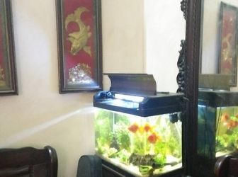 Nhà Mặt Phố Dịch Vọng, Kinh Doanh Quá Đỉnh, 66m2, 9,5 Tỷ Có Thương Lượng.