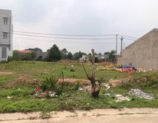  Chính Chủ Cần Bán 450m2 Đất Thổ Cư, Mặt Tiền Quốc Lộ 13, Có Thể Thương Lượng Giá