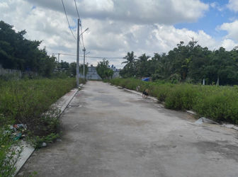 Bán Gấp 2 Lô Đất Đường Tx52 Quận 12 830Tr/lô Giá Thấp Nhất Mọi Thị Trường