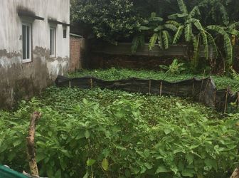 Cần Bán Mảnh Đất Tổ 1 Yên Nghĩa – Hà Đông.HN.56m2.Ngõ Rộng.Cách Bến Xe YN 500m.