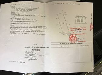 Bán Gấp 10.000M2 Đất Hẻm Xe Hơi 20M Bình Chánh Giá 26 Tỷ